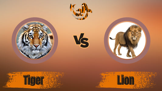 Tigers vs. Lions: Comparing Their Size and Differences