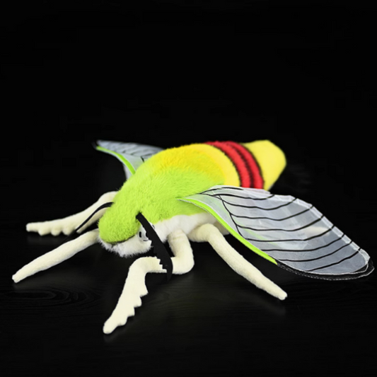 Pellucid Hawkmoth Soft Stuffed Plush Toy