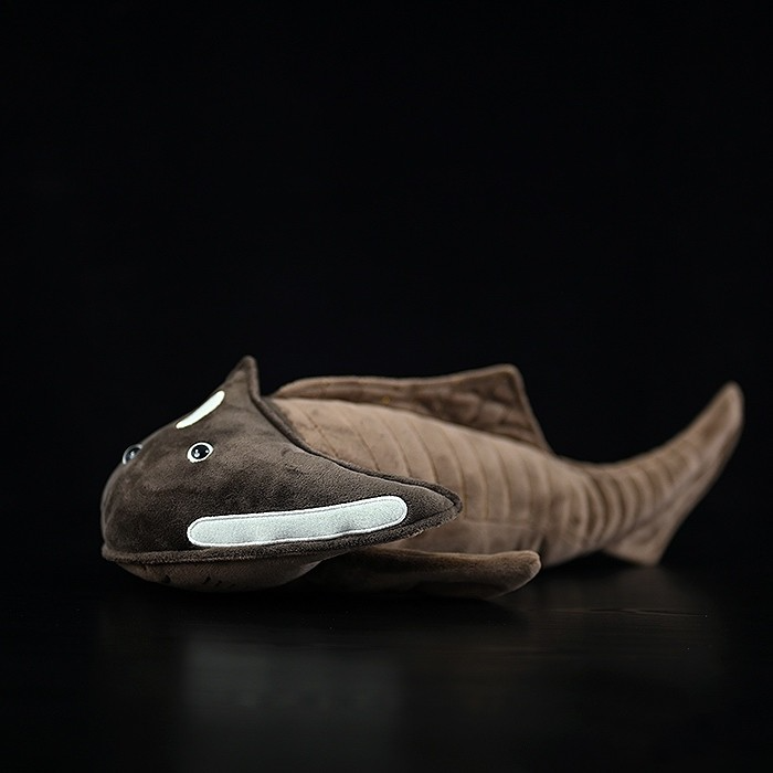 Coelacanth Fish Soft Stuffed Plush Toy – Gage Beasley