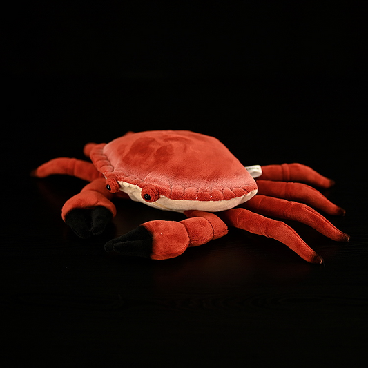 Red Rock Crab Soft Stuffed Plush Toy