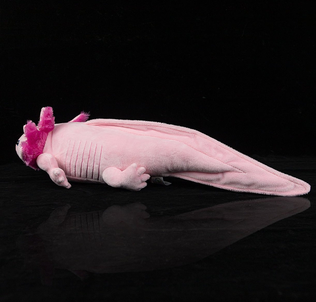 The Axolotl Soft Stuffed Plush Toy