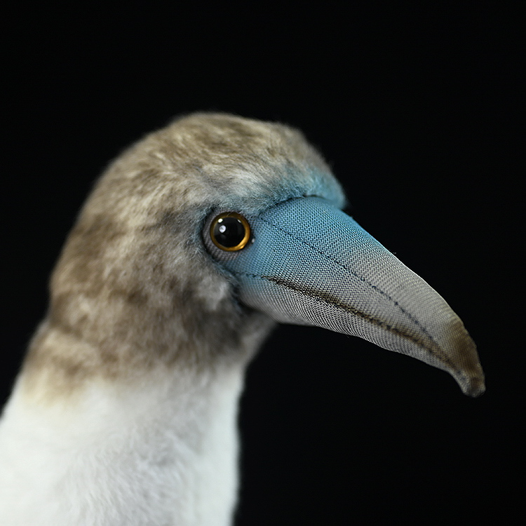 Blue-footed Booby Bird Soft Stuffed Plush Toy