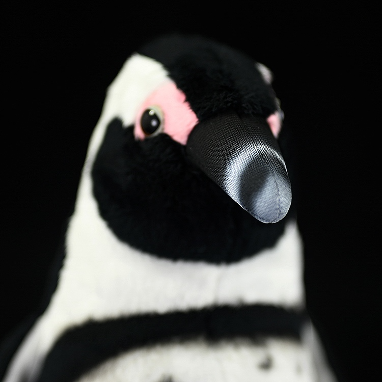 African Penguin Bird Soft Stuffed Plush Toy