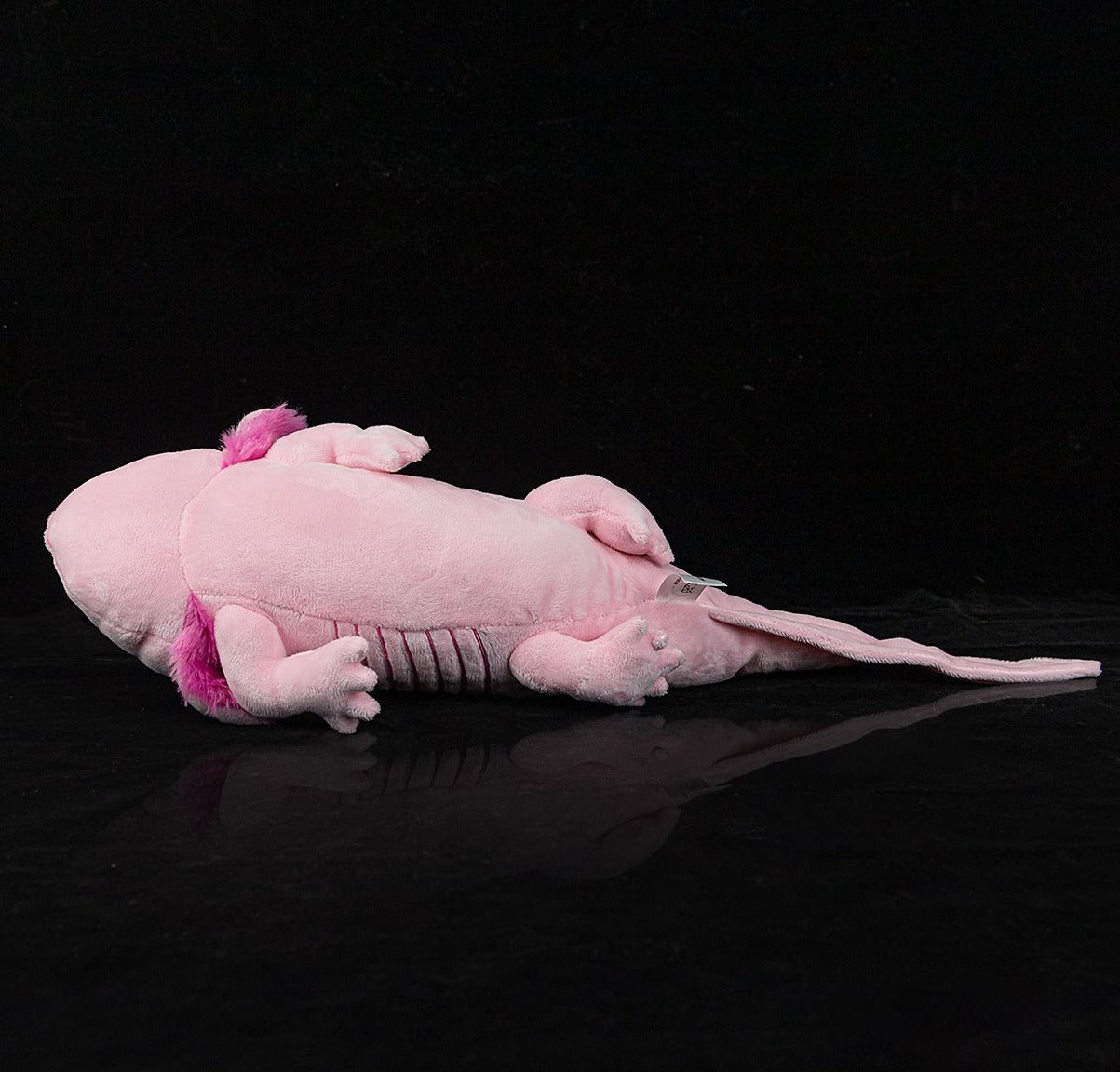 The Axolotl Soft Stuffed Plush Toy