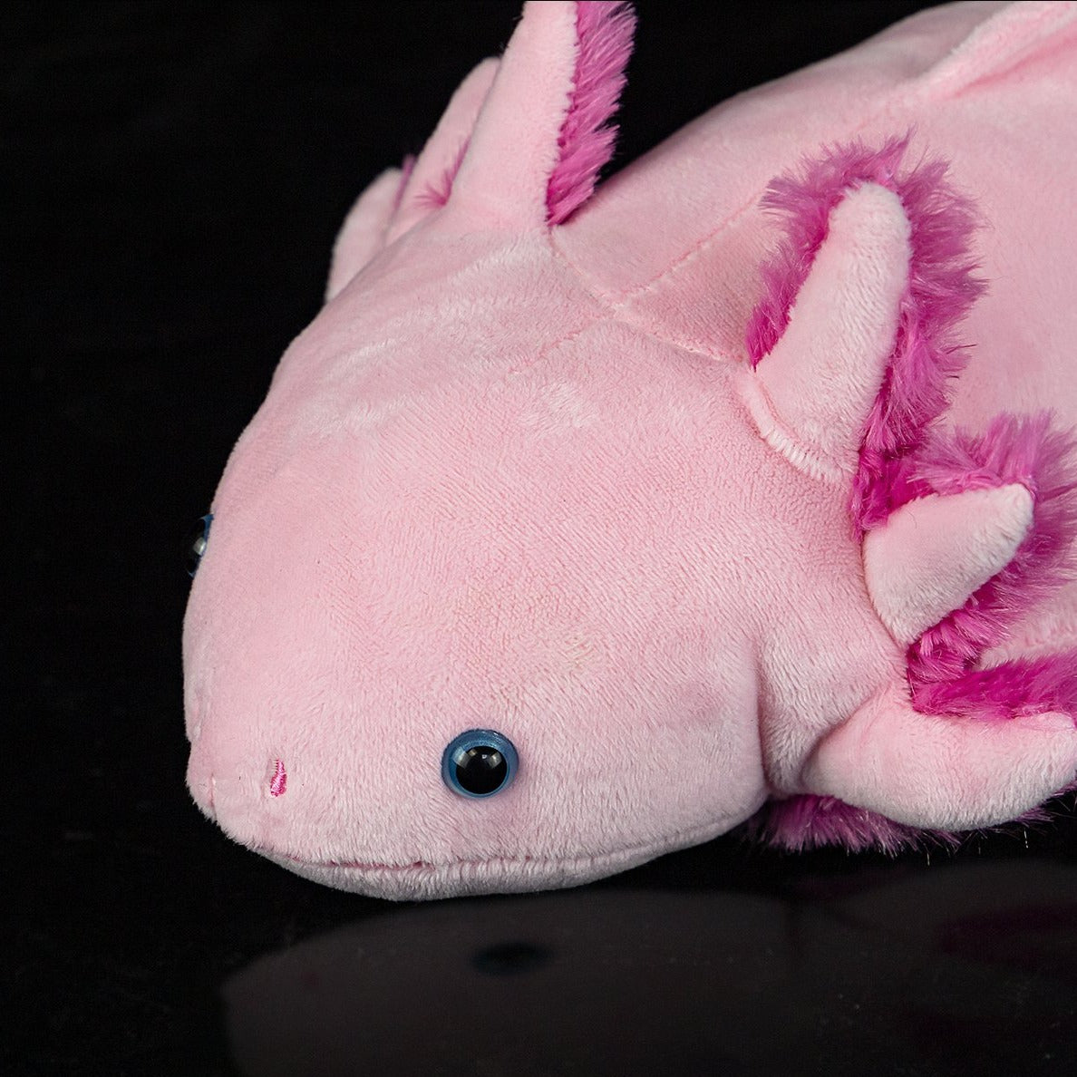 The Axolotl Soft Stuffed Plush Toy