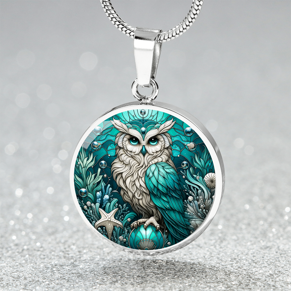 The Aqua Owl Circle Pendant Necklace