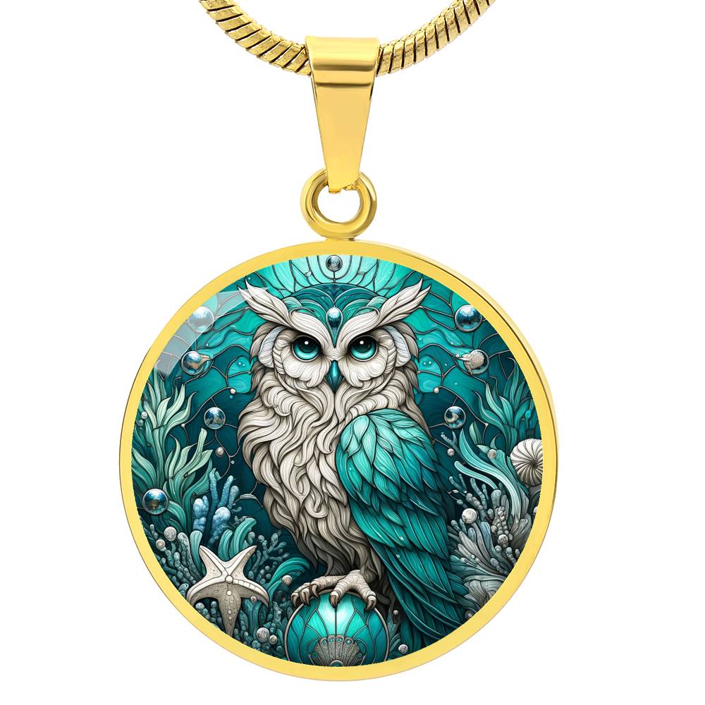 The Aqua Owl Circle Pendant Necklace