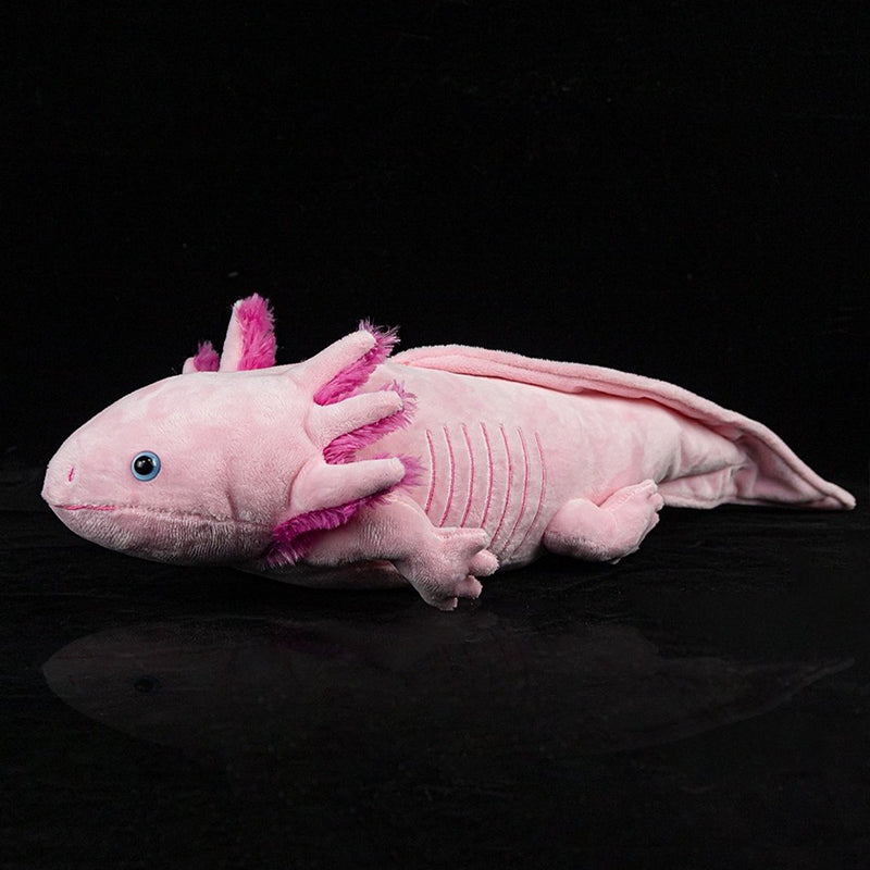 The Axolotl Soft Stuffed Plush Toy