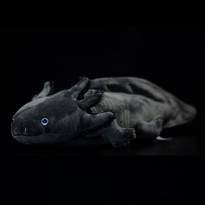 The Axolotl Soft Stuffed Plush Toy