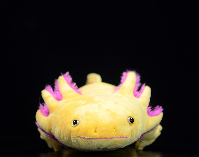 Axolotl commander en ligne chez