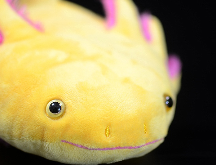 Pink Axolotl Soft Stuffed Plush Toy – Gage Beasley