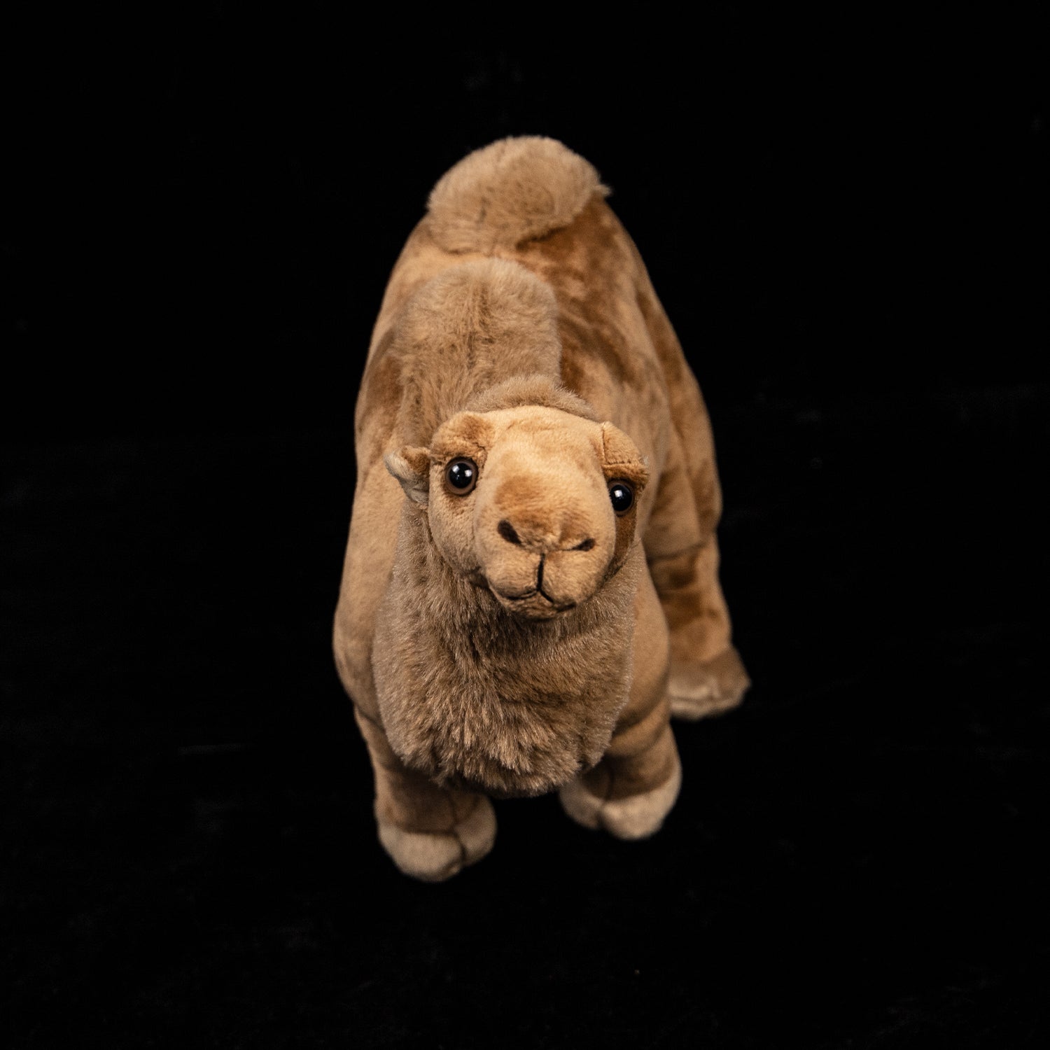 Tardigrade Water Bear Soft Stuffed Plush Toy – Gage Beasley