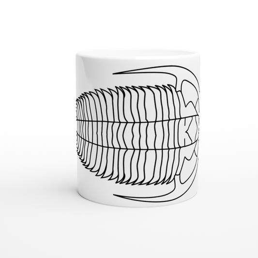 Trilobite Arthropod Fossil White Ceramic Mug