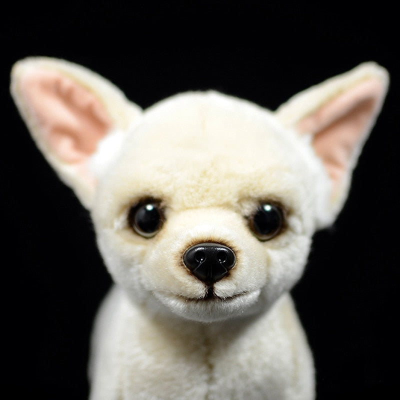 Black Chihuahua Dog Soft Toy Dog Stuffed Animal Baby Toy Dog Dog