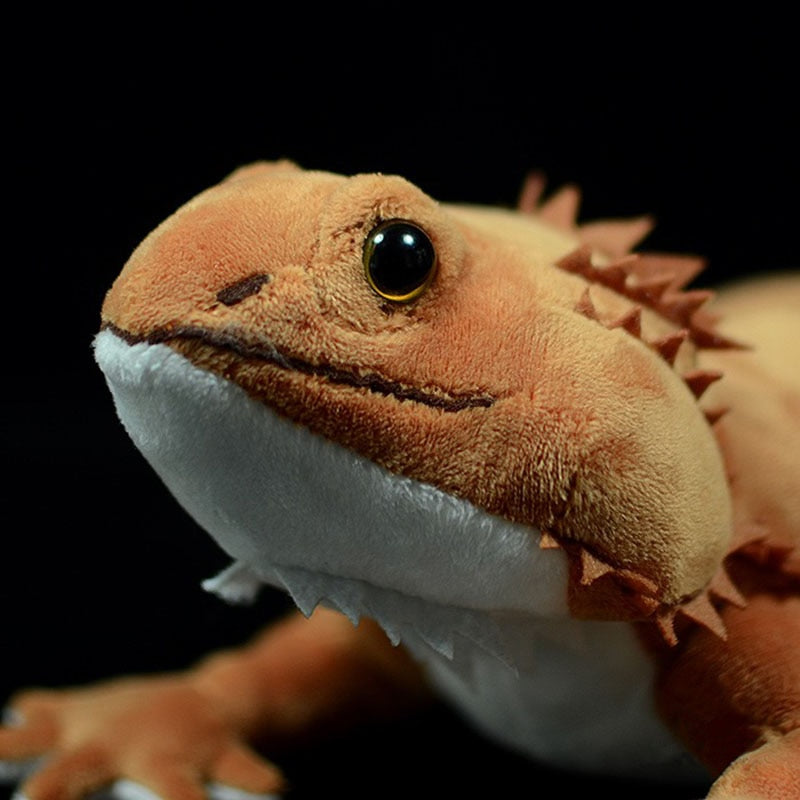Lifelike Bearded Dragon Pogona Lizard Soft Stuffed Plush Toy – Gage Beasley
