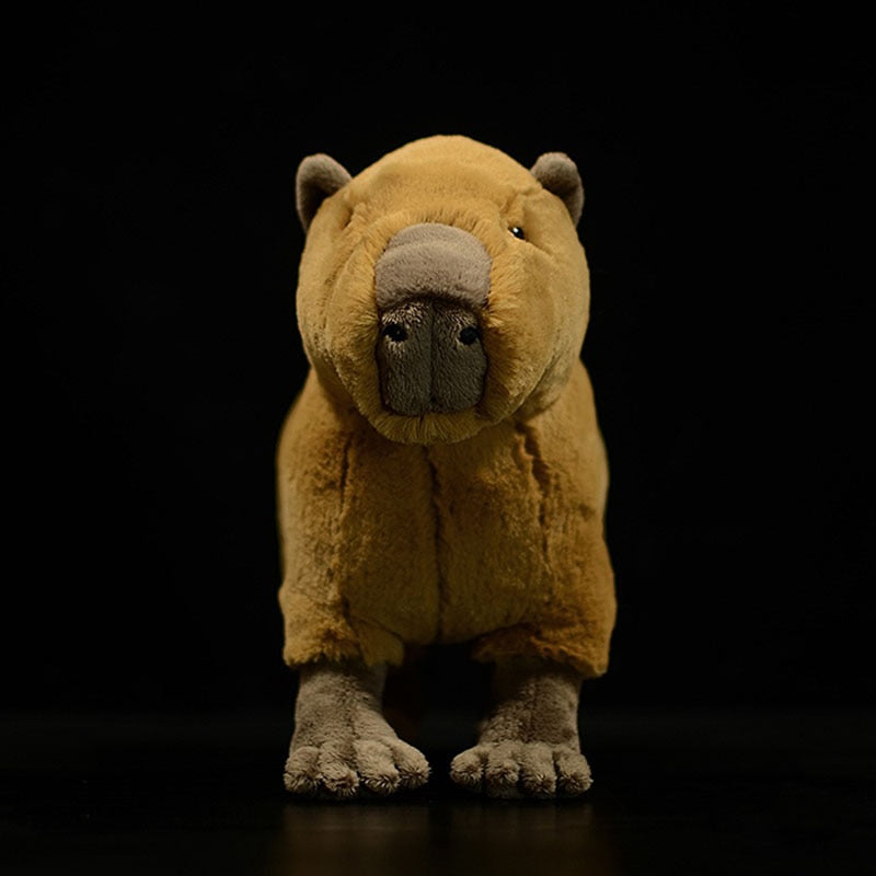 Capybara bonito brinquedo de pelúcia realista animais selvagens rastejando  capybara macio macio pelúcia boneca para crianças presentes de aniversário  - AliExpress