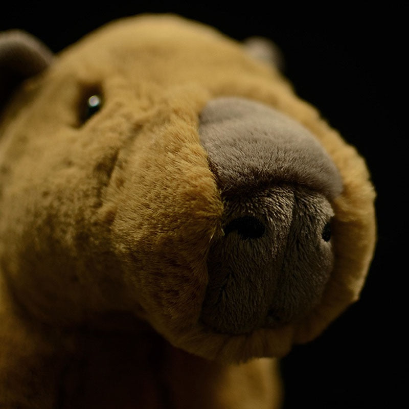 Lifelike Capybara Soft Stuffed Plush Toy – Gage Beasley