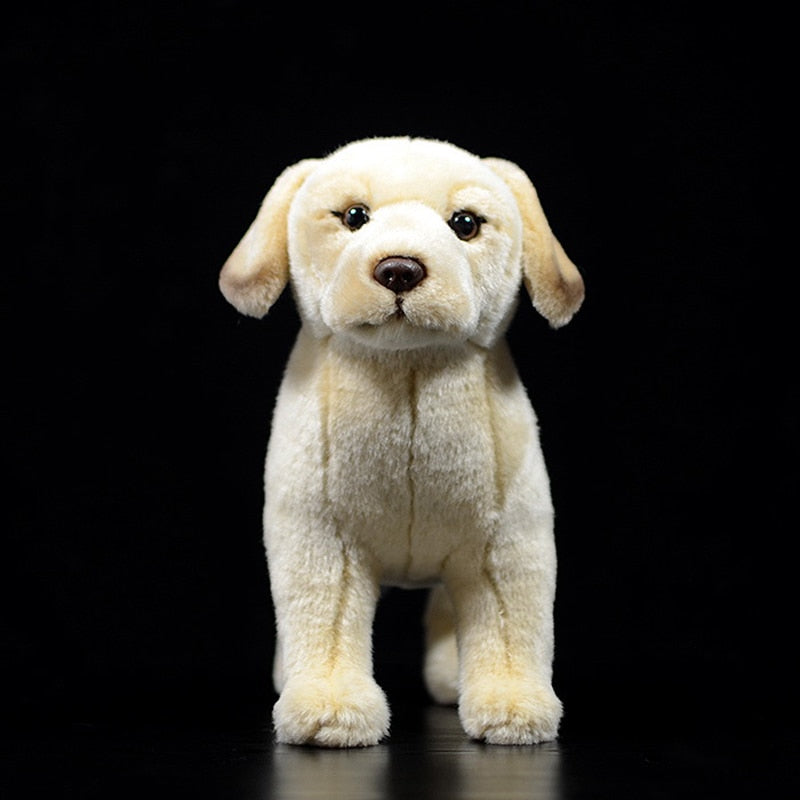 3-in-1 Cuddly Fun Golden Labrador Muff/Handbag/Plush Animal - Kidz  Entertainment Inc